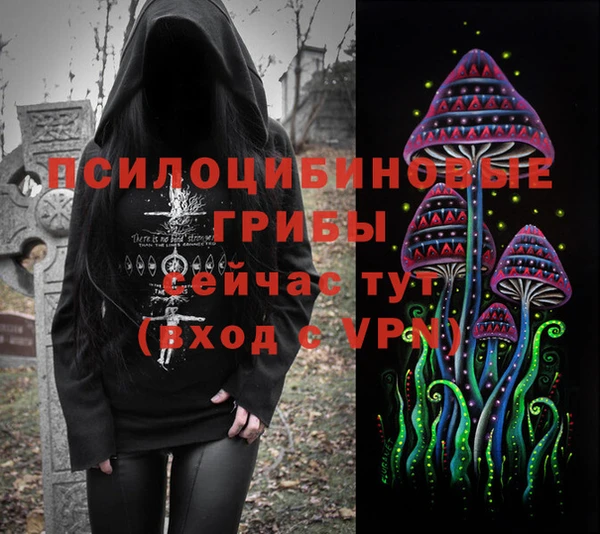 apvp Алексеевка