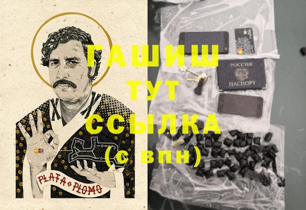 ешки Алексин