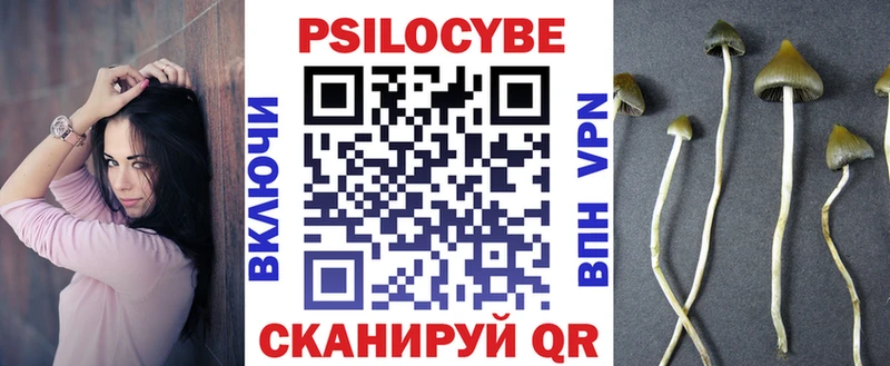 дарнет шоп  Данков  Галлюциногенные грибы прущие грибы 